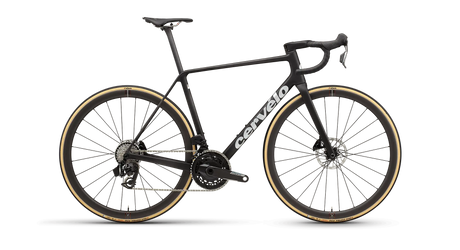 Black bicycle with gold accents on a white background