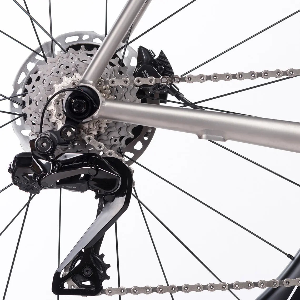 Rear derailleur and cassette on Enigma Evoke bike