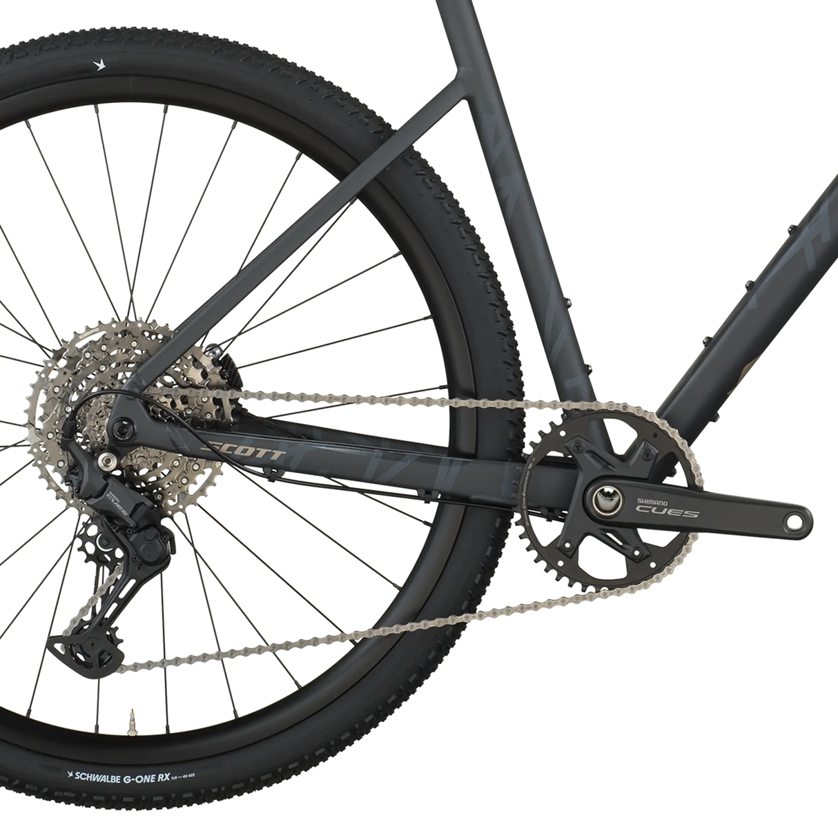 Close-up of a bicycle's rear wheel and gear system on a white background