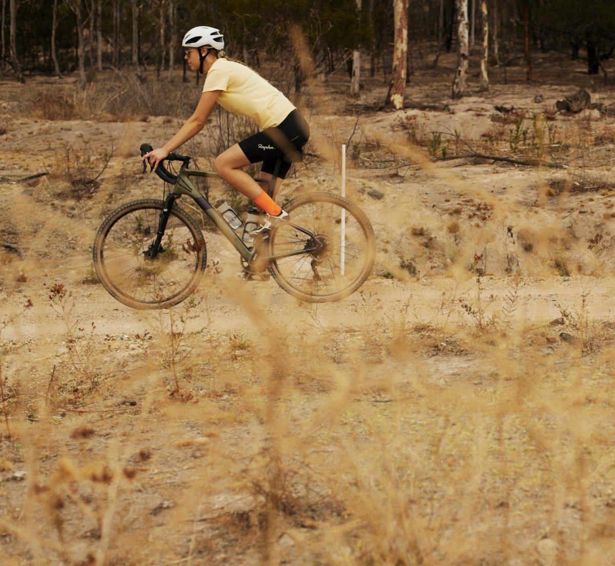 Genesis Vs Cannondale - Gravel Bikes - Billy Bilsland Cycles