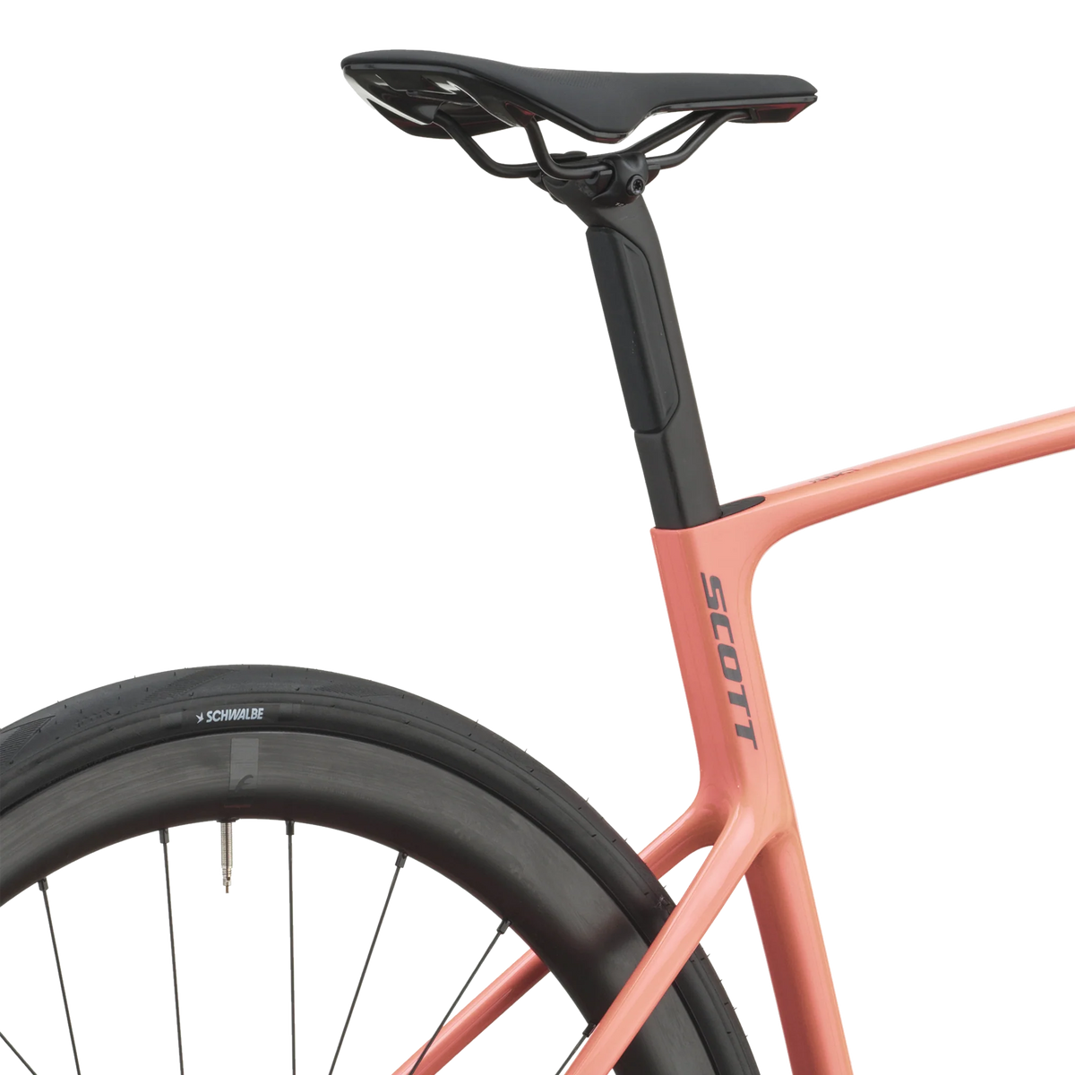 Saddle and seatpost of the peach pink Scott Addict 25 above the dropped seat stays.