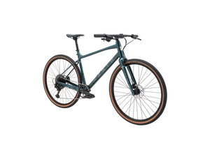 Marin DSX 1