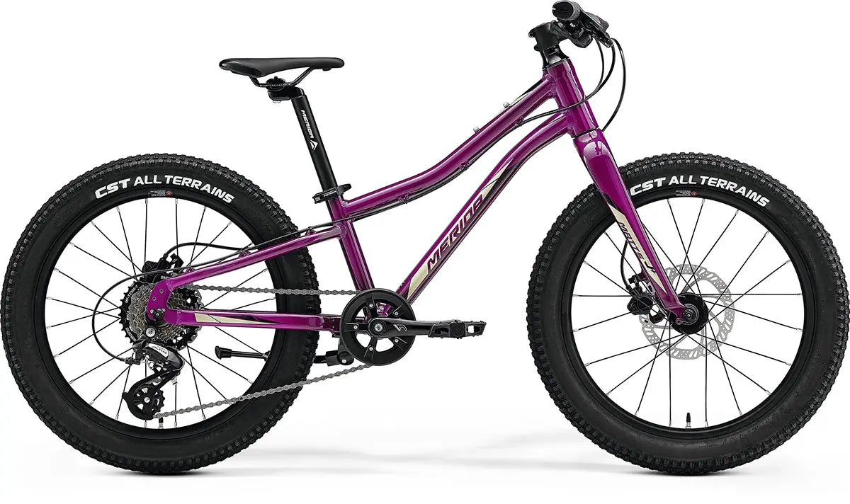 Merida Matts J.20+ Kids Hybrid Bike in deep purple, equipped with disc brakes and wide tires for stability and comfort on various terrains.