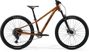 Merida Matts J.Champion Kids Bike