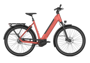 Gazelle ULTIMATE C5+  Low-Step Electric Hybrid Bike