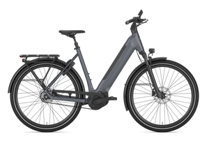 Gazelle ULTIMATE C5+  Low-Step Electric Hybrid Bike