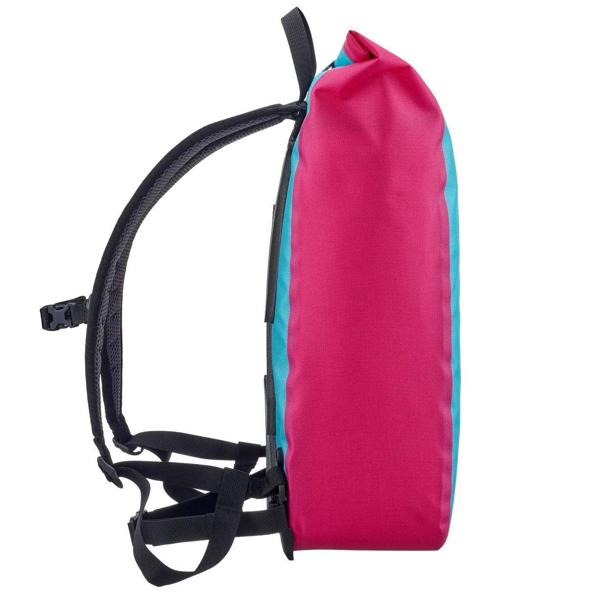 Slim roll-top backpack in cyber blue with bright pink front panel and black adjustable shoulder straps.