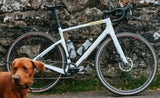White Cervelo Aspero gravel bike leaning against a stone wall with a dog sitting alongside