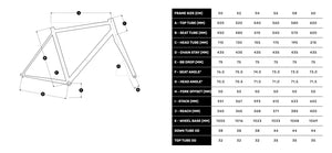 Enigma Escape Titanium Gravel Frameset