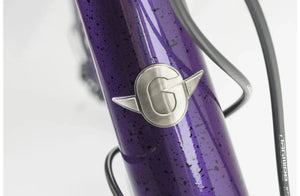 Fugio 10 Purple Gravel Bike - Billy Bilsland Cycles