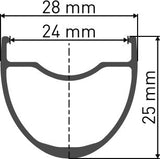 G 1800 SPLINE disc brake wheel, clincher 25 x 24 mm, 700c front - Billy Bilsland Cycles