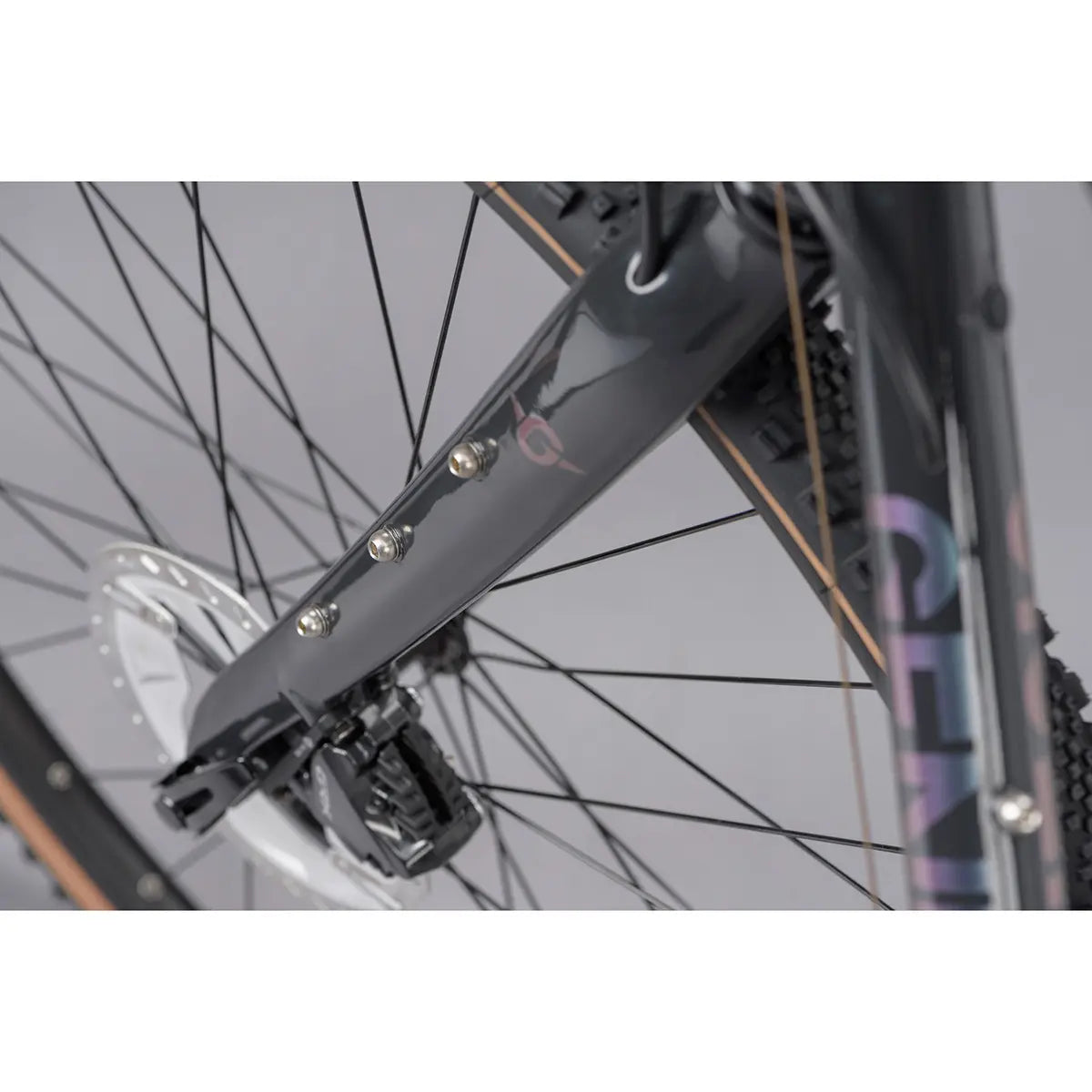 Genesis Croix De Fer 50 front wheel and brake