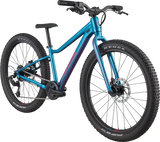 Kids Trail Plus 24 - Billy Bilsland Cycles