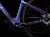 Bottom bracket and chainstay of the Patagonia Frost Pinarello Grevil F3, pictured with a Shimano GRX crank.