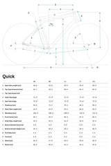 Quick 4 Hybrid Bike - Billy Bilsland Cycles
